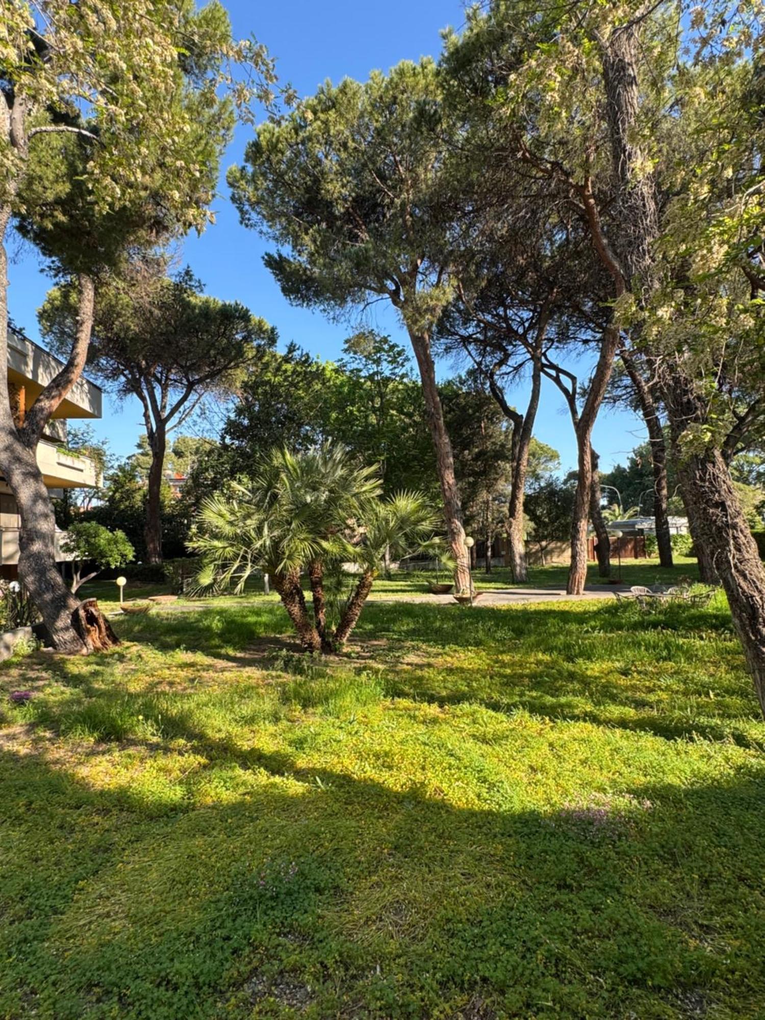 Villa Riviera 287 Pescara Zewnętrze zdjęcie